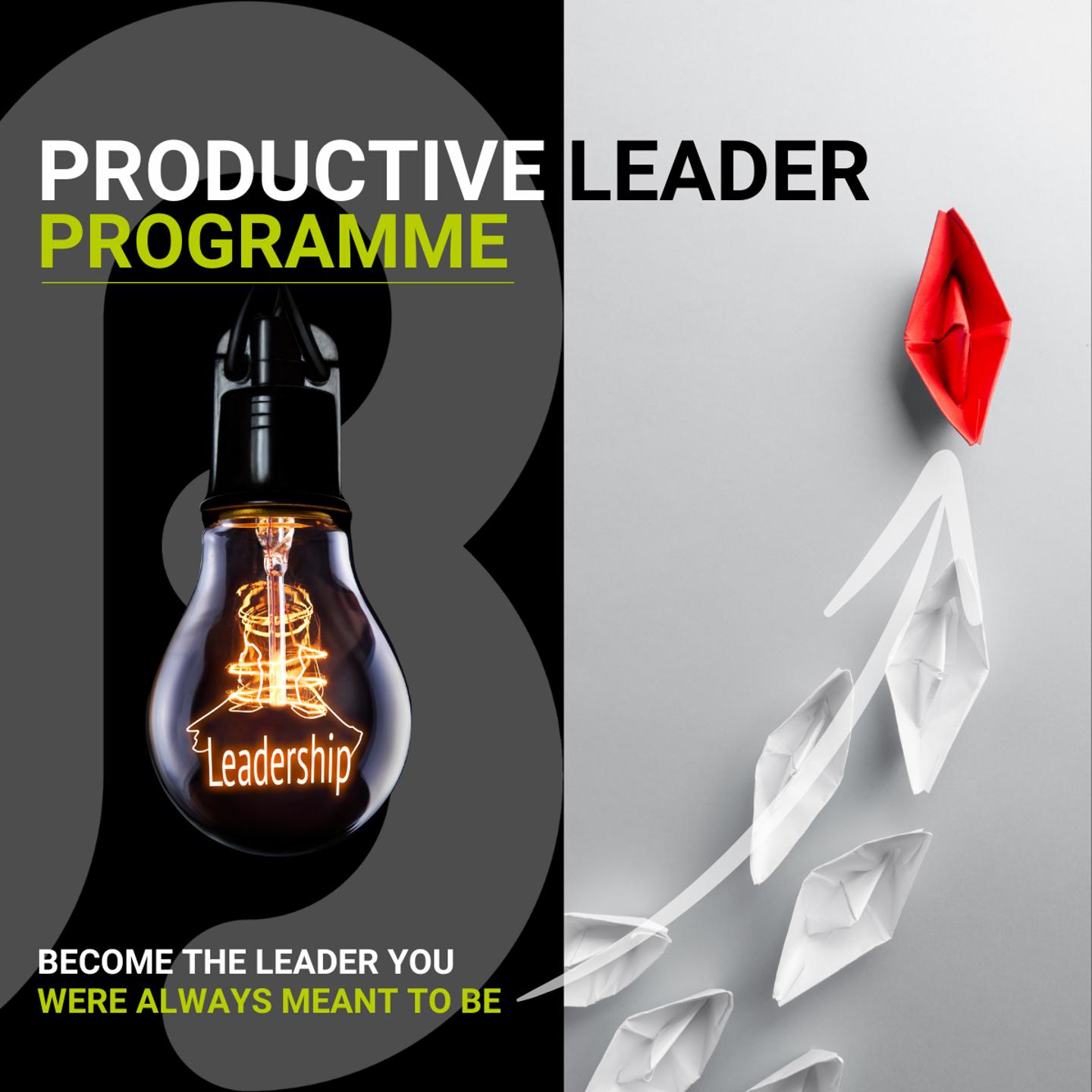 Productive Leader (3)