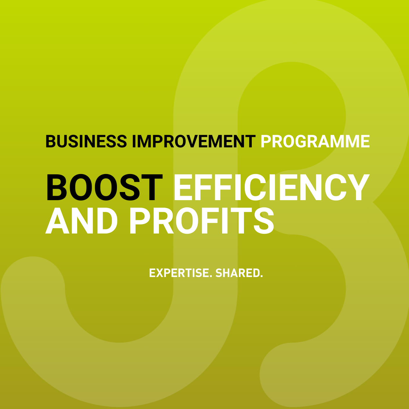 BUSINESS IMPROVEMENT PROGRAMME (1410 X 1410 Px)
